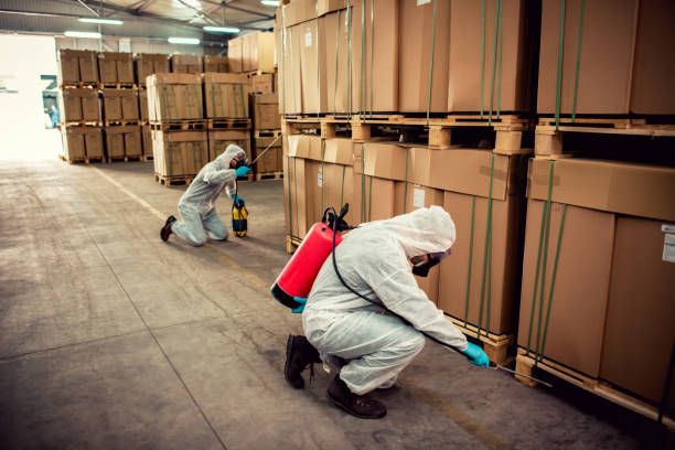 Best Commercial Pest Control Services  in Walkerton, IN